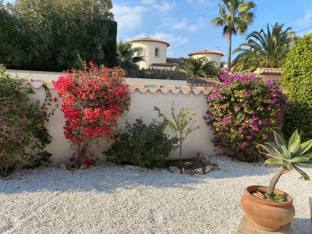 The Best Holiday Villa Calpe Exteriör bild